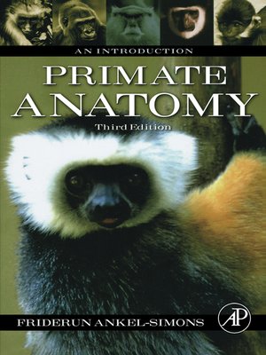 cover image of Primate Anatomy